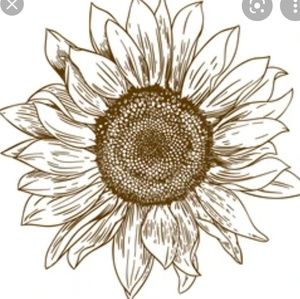 Meet your Posher, Joy